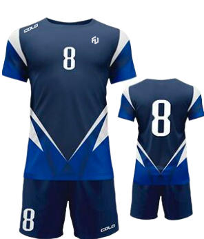 Volleyball - Image 2